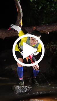 BIB:  <button type="button" onclick="openModal(27608363)" class="btn btn-primary btn-sm float-right" data-toggle="modal" data-target=".modal-high-quality">
                <i class="fa fa-download"></i> Download
                </button>